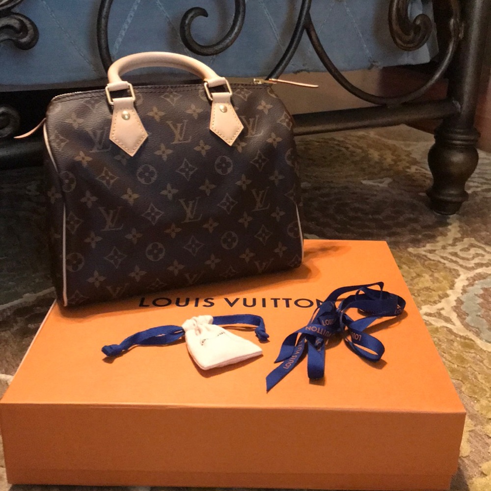 Louis Vuitton Speedy 25 M4 1109